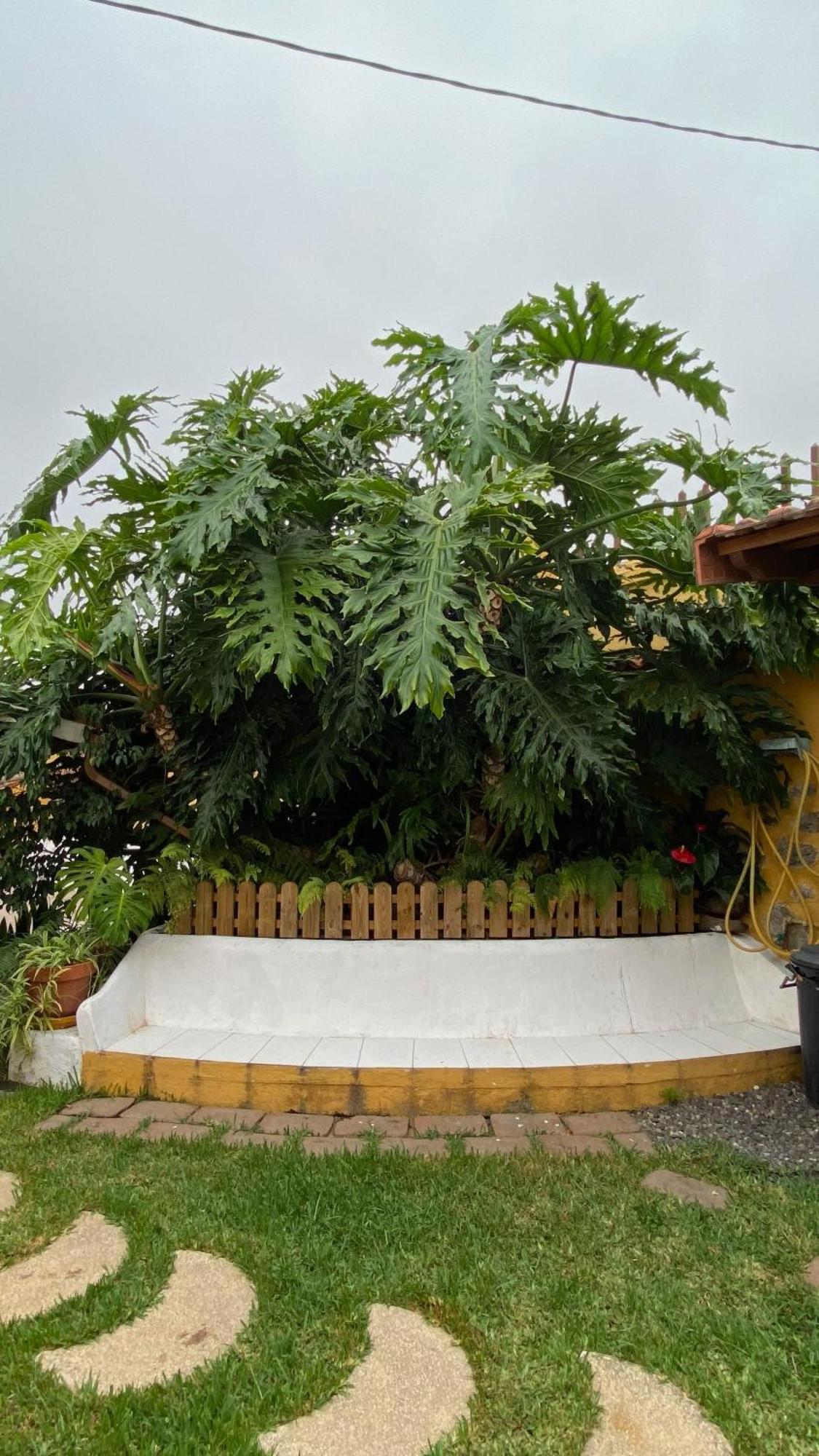 Casa Rural La Ganania 洛斯雷尔雷赫斯 外观 照片